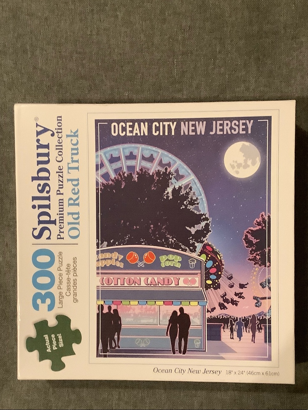 Ocean City New Jersey 300-Piece Jigsaw Puzzle